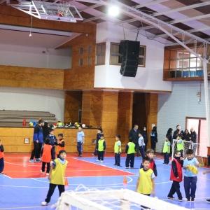 Día de la Actividad Física